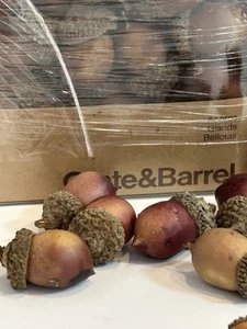 Crate & Barrel Acorn Glands Realistic 2 Boxes - Picture 1 of 10