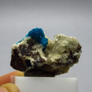 Cavansite on matrix  (non precious natural stone) # 4248 - Picture 1 of 3