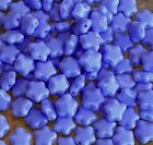 Perles de verre tchèques étoilées pervenche bleu 6 mm 50 pièces