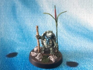 Turtle Monk with Staff Professionally Painted Dungeons & Dragons Miniature s27 - Picture 1 of 2