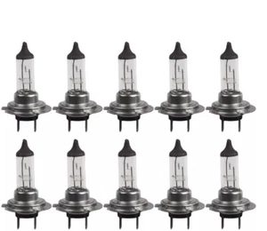 10 Pack H7 Halogen Bulbs 12V 55W Car Headlight Lamps - Picture 1 of 3