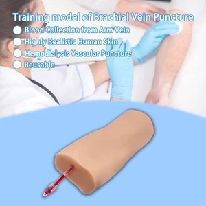 Arm Vein Vessels Puncture Model, Medical Clinical Vein Puncture Skills Training# - Picture 1 of 9