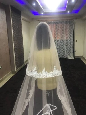 velo de encaje nupcial 3 metros o más largo color beige Foto 1 de 4