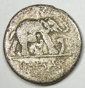 Julius Caesar AR Denarius Silver Elephant Coin 49 BC - Fine Condition - Rare! - Picture 1 of 4