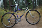 1988 Specialized Rockhopper Comp Vintage Mountain Bike Medium (17") Restored