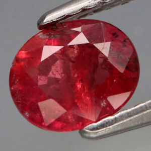 0.94Ct.UNHEATED! Best Color Natural Hot Red Pink Ruby Winza,Tanzania Good Luster