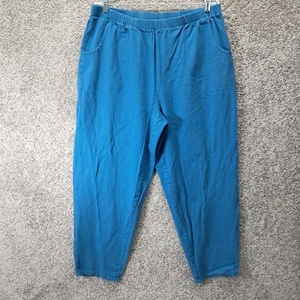 Denim 24/7 Women's Pants Blue Size 24W - Picture 1 of 9