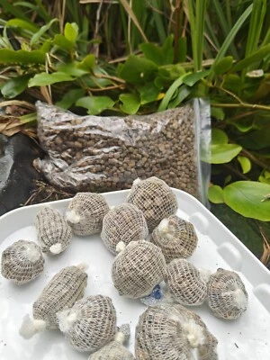 105 pre filled carp bait balls + u get boily hook baits & pellet combos - Image 1 of 4