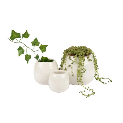 Juego de jarrón jardinero West Coast Paracord - 3 piezas blanco, decoración de mesa de boda recepción Foto 1 de 4