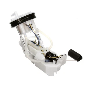 Delphi FG1456 Fuel Pump Module Assembly - Foto 1 di 8