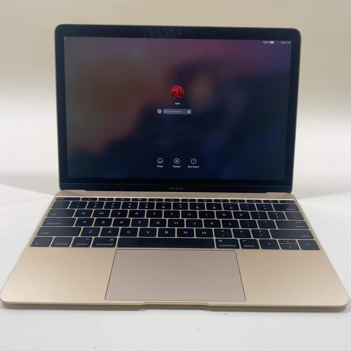 2015 Apple MacBook Gold Laptops for sale | eBay