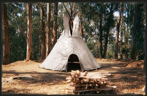 16' CHEYENNE STYLE tipi/teepee,liner,door, lacepins,bag - Picture 1 of 1