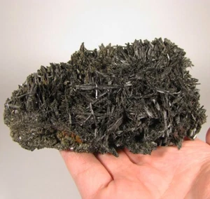4.7" Black TOURMALINE Crystals Cluster on Matrix Rock - Jbel Ayachi, Morocco - Picture 1 of 12