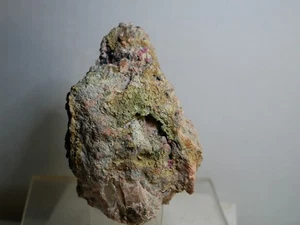 Erythrin XX auf Matrix, Schmiedestollen, Wittichen, Schwarzwald, Deutschland - Bild 1 von 4