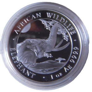 Somalia 2023 Elephant silver coin 1 oz in capsule - Picture 1 of 2