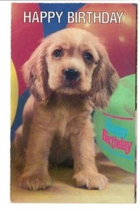 Vintage Postkarte Postkarte süßer Hund Happy Birthday Chandoha North Shore League - Bild 1 von 2