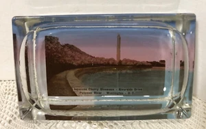 WASHINGTON DC SOUVENIR GLASS PAPERWEIGHT TRINKET DISH CHERRY BLOSSOM ANTIQUE - Picture 1 of 4