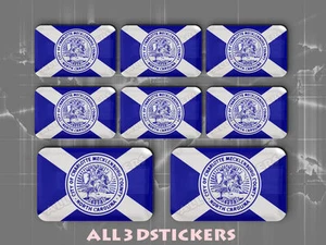 8 x 3D Stickers Resin Domed Flag Charlotte - USA Adhesive Decal Vinyl - Imagen 1 de 1