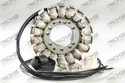 Estator Ricks para Arctic Cat Jaguar Z1 Early Build 1100 2007 - Imagem 1 de 3