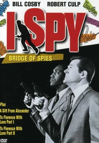 Bridge of Spies (DVD)