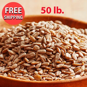 50 lb Bulk Supply NO SHELL Sunflower Seeds Unsalted Raw Restaurant Bakery - Keto - Picture 1 of 4