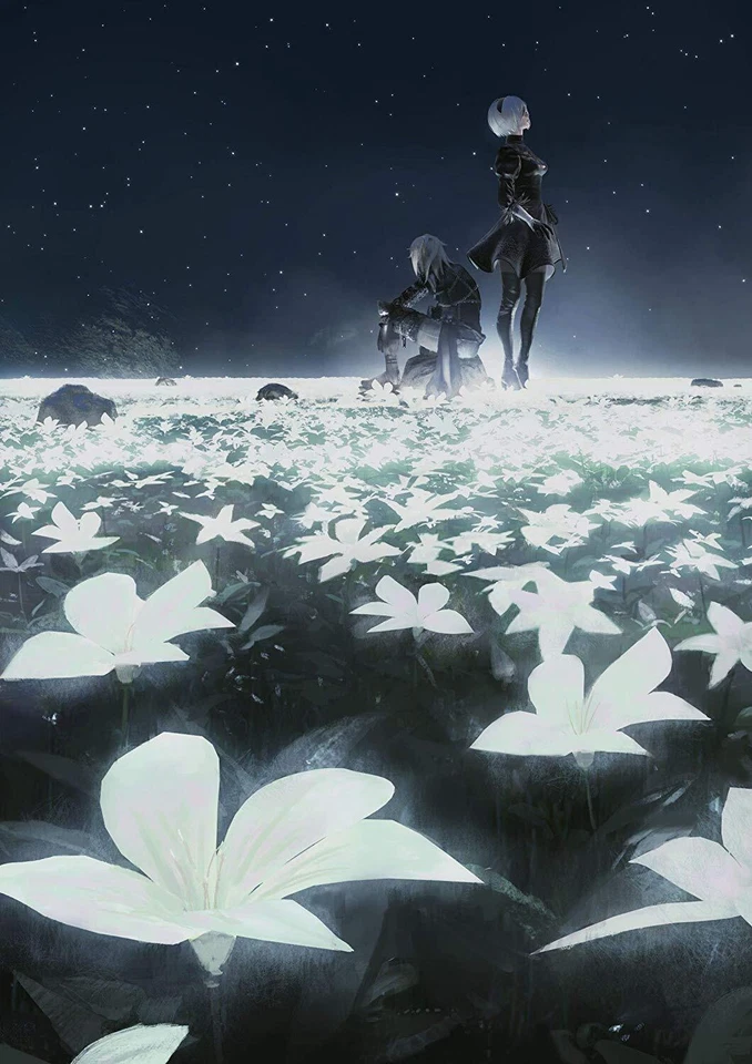 BRD Nier Orchestra Concert 12018 Blu-ray Disc Regular Edition 20 Tracks 2019 JPN