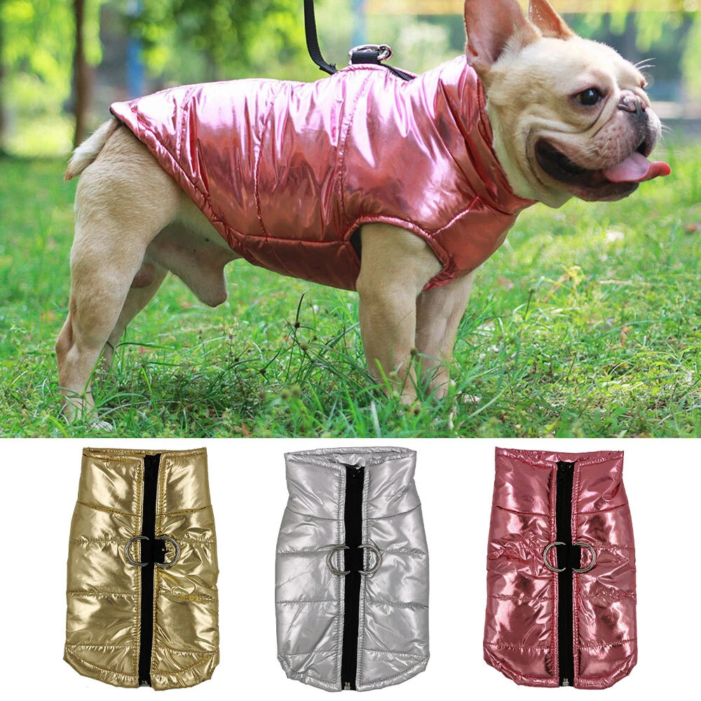 Weicher Hundemantel Winddicht & Warm – Für Kleine & Mittlere Hunde In Größe L, Mit Fleece-Futter – Farbe Violett