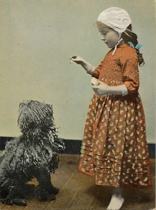 HUNGARIAN PULI AND LITTLE GIRL CHARMING DOG GREETINGS NOTE CARD - Picture 1 of 1