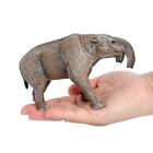 Animals Toys Model Crafts Animal Action Figure for Travel Desktop Role Play