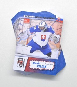 2018 BY cards IIHF World Championship Team Slovakia Full 27-Card Set