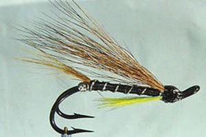 1x mouche Saumon THUNDER LIGHTNING DOUBLE salmon fly steelhead hairwing fliegen - Photo 1/1