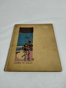 Die goldene Stunde von James W. Foley (1915) Antikes Buch - Bild 1 von 10