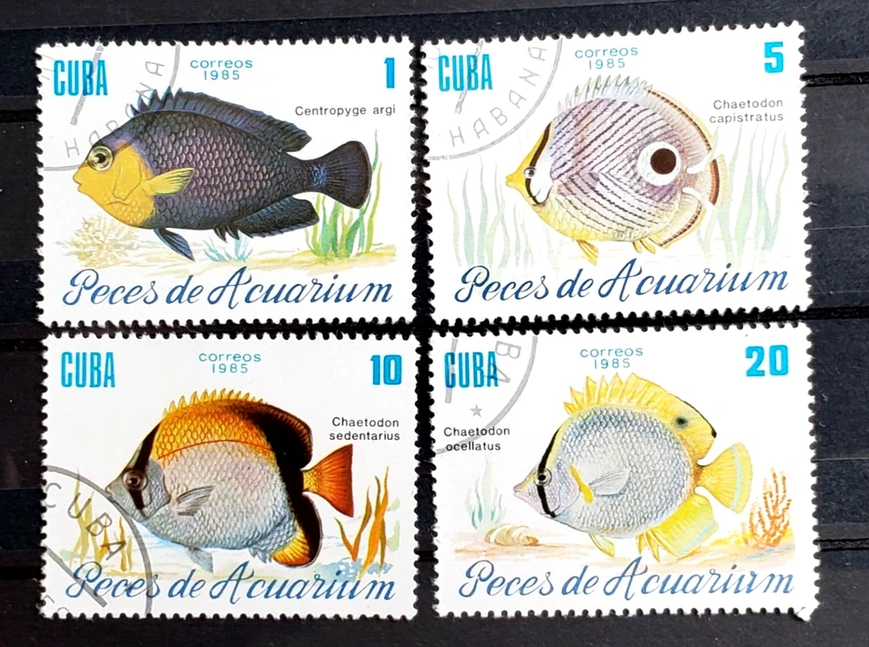 Caribbean 1985 Aquarium Fish Sc#2811, 2813-5 CTO - Image 1 of 1