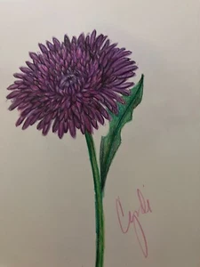 CRISÁNTIMO DIBUJO FLORES LÁPIZ COLOR original - Imagen 1 de 3