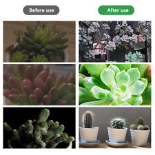LED Grow Lights For Indoor Plants Full Spectrum Mini Desk Plant Lamp With Base