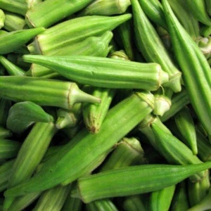 Okra (Emerald) 165+ Seeds (Abelmoschus) Instructions Included x - Picture 1 of 7