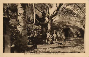 PC CPA NUEVA CALEDONIA, PACIFIC, CUEILLETTE DU CAFÉ, postal vintage (b19283) - Imagen 1 de 2
