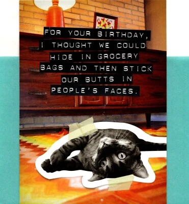 Divertido y ridículo feliz cumpleaños juguetón gatito gato bolsa de comestibles bolsas tarjeta de felicitación Foto 1 de 3