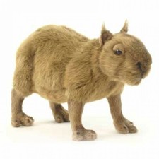 capybara peluche