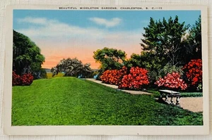 Vintage Linen Postcard - Middleton Gardens, Charleston, South Carolina - Bild 1 von 2