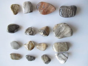 Impresionantes rocas Chert pulidas con bandas de Michigan de 16 piezas 4,7 OZ naturales Grandes Lagos - Imagen 1 de 24