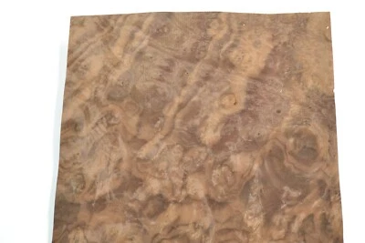 Walnut Burl Raw Wood Veneer Sheet 9.5 x 14.5 inches 1/42nd thick         7369-24 - Image 1 of 4