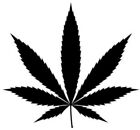 New Marijuana Leaf Weed Vinyl Decal for Cars Crafts Walls Cups Bottles Signs