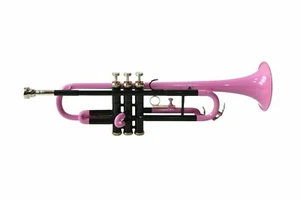 MINI TASCHENTROMPETE NEU PINK SCHWARZ MESSINGOPTIK BB SCHLÜSSEL TROMPETENFREI... - Bild 1 von 4