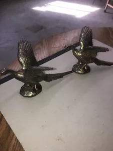 MCM Pheasant Pair Bronze? Cast Metal Book Ends - Picture 1 of 9
