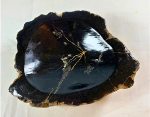 MCM PETRIFIED WOOD PAPERWEIGHT ASHTRAY CATCH ALL MID CENTURY VINTAGE GORGEOUS! - Picture 1 of 6