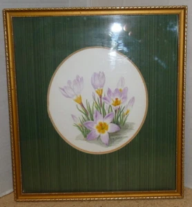 Dorothy Bovey - Fine Mid 20th Century Gouache, Crocus - Picture 1 of 3