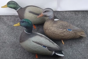 Mallard Duck Decoys Bigfoot Motion Field 16" Full Body Lot 2 Drakes 1 Hen - Picture 1 of 5
