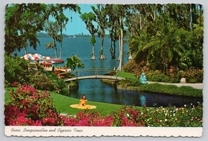 Continental Postcard Florida Roses Bougainvillea Cypress Trees - Picture 1 of 2