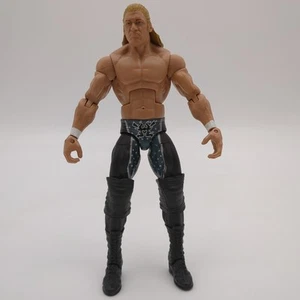 2013 Mattel WWE Elite Series 23 Triple H Loose Action Figure - Picture 1 of 6
